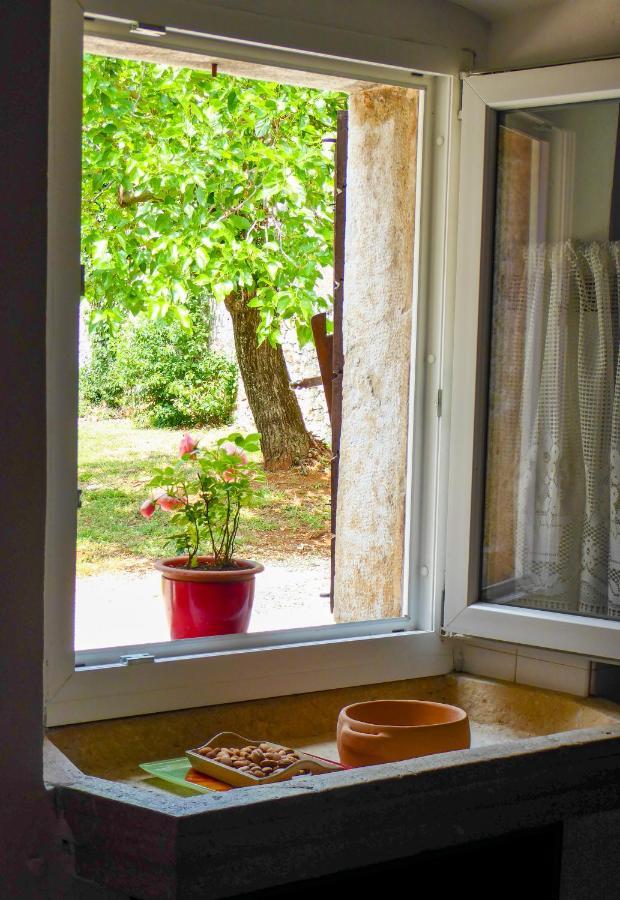 Villa Casa Istriana Nona Pina Kaštelir Exterior foto